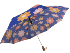 749ddd36-22d8-41a4-ae77-6e89aac8a9fb